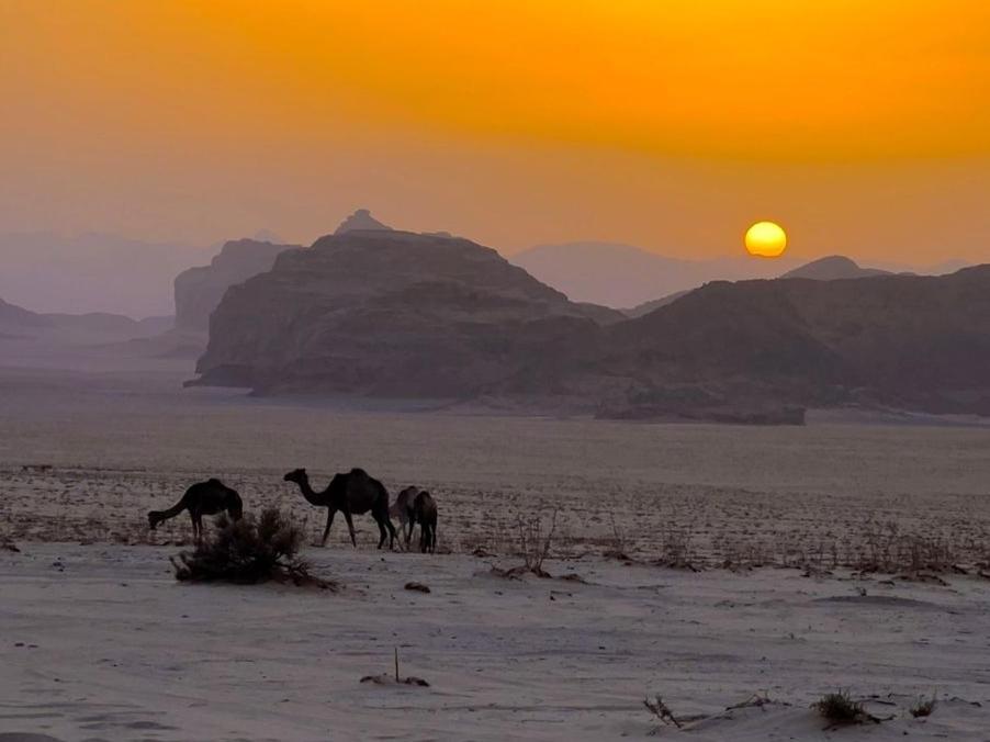 White Desert Camp Wadi Rum Eksteriør billede