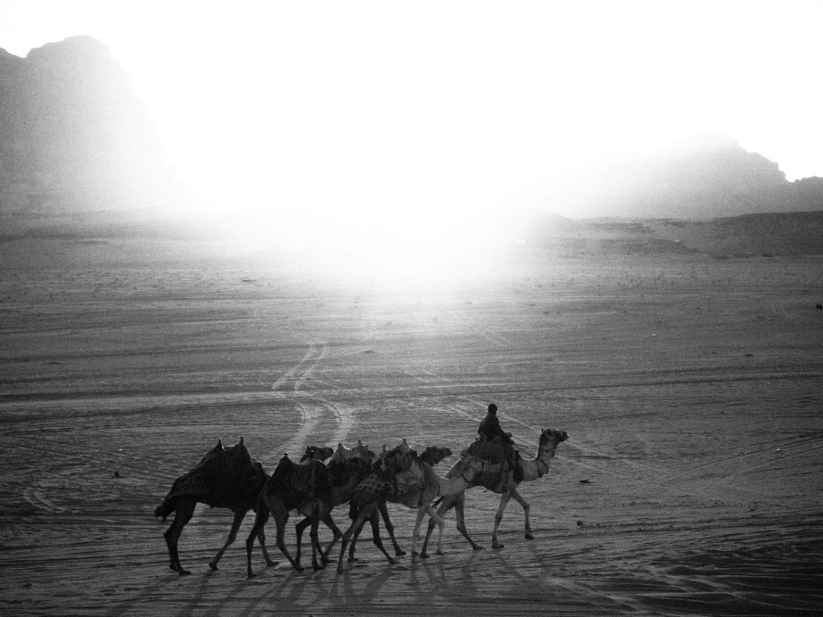White Desert Camp Wadi Rum Eksteriør billede