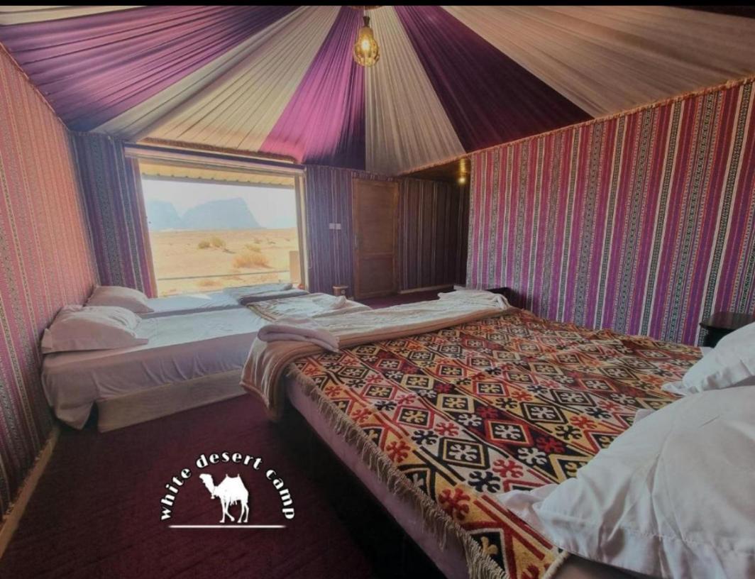 White Desert Camp Wadi Rum Eksteriør billede