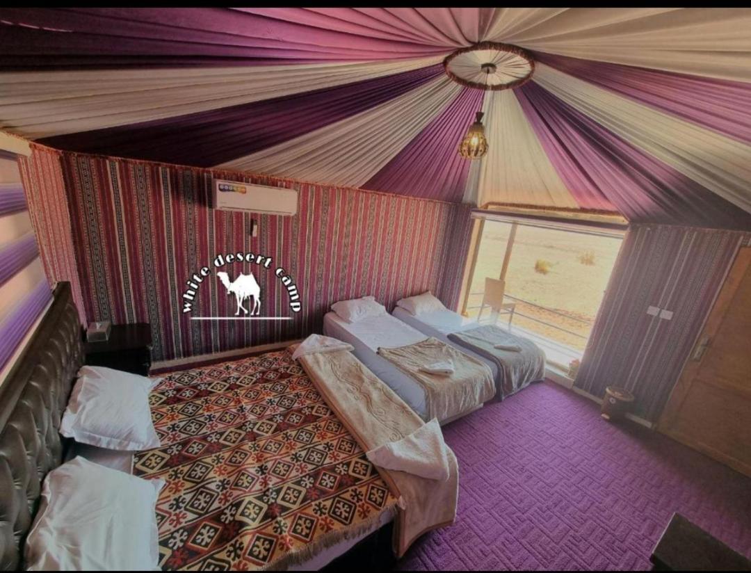 White Desert Camp Wadi Rum Eksteriør billede